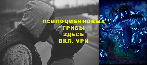 дурь Арсеньев