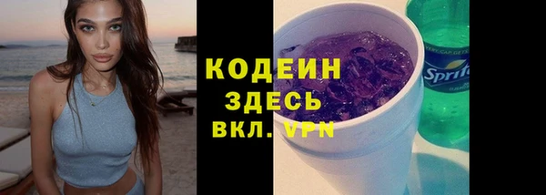 дурь Арсеньев
