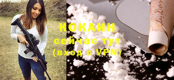 дурь Арсеньев