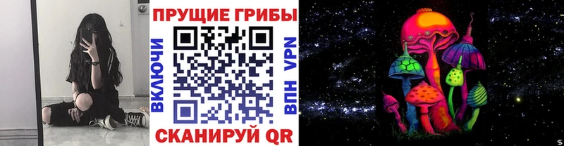 Галлюциногенные грибы ЛСД  сколько стоит  Тимашёвск 
